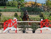 CRISTOFOLETTI AMICO MIO CampITA2013- S5 9355 : AMICO MIO, CRISTOFOLETTI ROBERTO, Campionati Italiani 2013, Cattolica, Horse Riviera Resort, foto di Stefano Secchi ©